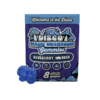 BLUEBERRY WONDER DISCO MAGIC MUSHROOM GUMMIES